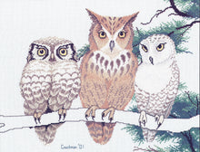 Load image into Gallery viewer, 3 Wise Owls CC035 Cross Stitch Chart Couchman Creations Sonia's Needle & Thread