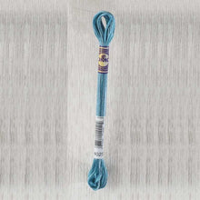 Load image into Gallery viewer, DMC - Colour Variations Art. 417F