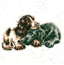 Load image into Gallery viewer, Growing Old Together XHD104 Cross Stitch Kit by Bothy Threads