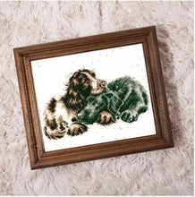 Load image into Gallery viewer, Growing Old Together Cross Stitch Kit by Dimensions