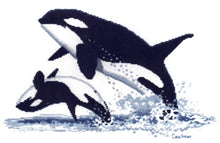 Load image into Gallery viewer, orcas cc020 couchman creations Sonia's Needle & Thread