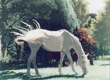 Load image into Gallery viewer, summer at howqua cc024 couchman creations sonia's needle & thread