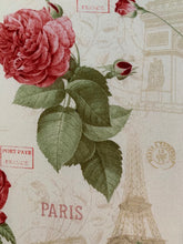 Load image into Gallery viewer, 15 ” X 15 ” Inch Roses in Paris Project Bag