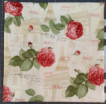 Load image into Gallery viewer, 15 ” X 15 ” Inch Roses in Paris Project Bag