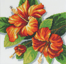 Load image into Gallery viewer, Tropical Flowers 1 - Country Threads Counted Cross Stitch Chart FJP-104-05-09