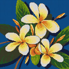 Load image into Gallery viewer, Tropical Flowers 2 - Country Threads Counted Cross Stitch Chart FJP-014-102
