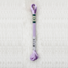 Load image into Gallery viewer, DMC Satin Thread S211 1008F