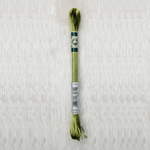 Load image into Gallery viewer, DMC - Satin Art. 1008F