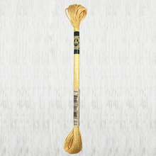 Load image into Gallery viewer, DMC - Satin Art. 1008F