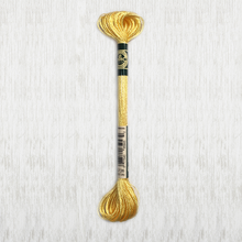 Load image into Gallery viewer, DMC - Satin Art. 1008F