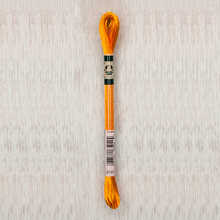 Load image into Gallery viewer, DMC - Satin Art. 1008F