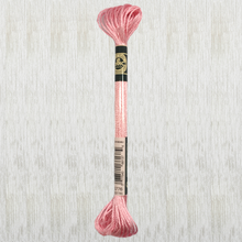 Load image into Gallery viewer, DMC - Satin Art. 1008F