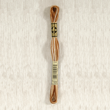 Load image into Gallery viewer, DMC 105 Variegated Stranded Cotton Art 117..