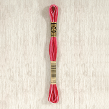 Load image into Gallery viewer, DMC 107 Variegated Stranded Cotton Art 117..