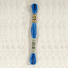 Load image into Gallery viewer, DMC 121 Variegated Stranded Cotton Art 117..