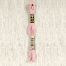 Load image into Gallery viewer, DMC Stranded Cotton - Art. 117 - Number 1 - 356