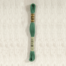 Load image into Gallery viewer, DMC Stranded Cotton - Art. 117 - Number 1 - 356