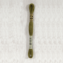 Load image into Gallery viewer, DMC Stranded Cotton - Art. 117 - Number 934 - 3747