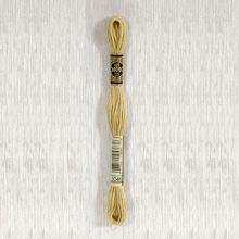 Load image into Gallery viewer, DMC Stranded Cotton - Art. 117 - Number 934 - 3747