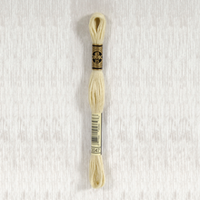Load image into Gallery viewer, DMC Stranded Cotton - Art. 117 - Number 934 - 3747