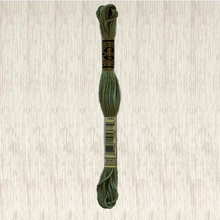 Load image into Gallery viewer, DMC Stranded Cotton - Art. 117 - Number 934 - 3747