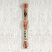 Load image into Gallery viewer, DMC Stranded Cotton - Art. 117 - Number 934 - 3747