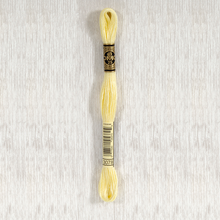 Load image into Gallery viewer, DMC Stranded Cotton - Art. 117 - Number 934 - 3747