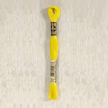 Load image into Gallery viewer, DMC Stranded Cotton - Art. 117 - Number 1 - 356