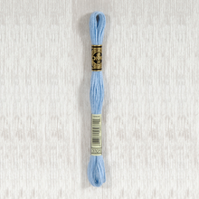 Load image into Gallery viewer, DMC Stranded Cotton - Art. 117 - Number 934 - 3747