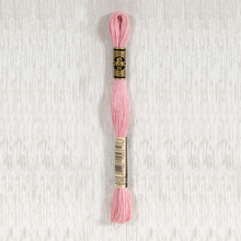 Load image into Gallery viewer, DMC Stranded Cotton - Art. 117 - Number 934 - 3747