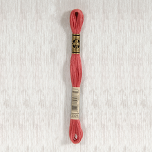 Load image into Gallery viewer, DMC Stranded Cotton - Art. 117 - Number 934 - 3747