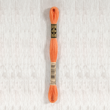 Load image into Gallery viewer, DMC Stranded Cotton - Art. 117 - Number 934 - 3747