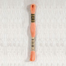 Load image into Gallery viewer, DMC Stranded Cotton - Art. 117 - Number 934 - 3747