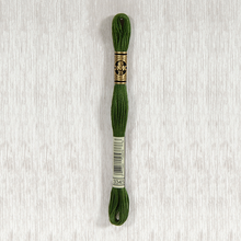 Load image into Gallery viewer, DMC Stranded Cotton - Art. 117 - Number 934 - 3747