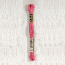 Load image into Gallery viewer, DMC Stranded Cotton - Art. 117 - Number 1 - 356