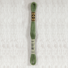 Load image into Gallery viewer, DMC Stranded Cotton - Art. 117 - Number 934 - 3747