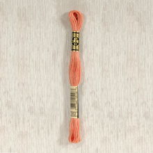 Load image into Gallery viewer, DMC Stranded Cotton - Art. 117 - Number 1 - 356