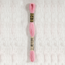 Load image into Gallery viewer, DMC Stranded Cotton - Art. 117 - Number 934 - 3747