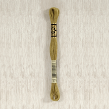 Load image into Gallery viewer, DMC Stranded Cotton - Art. 117 - Number 367 - 733