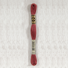 Load image into Gallery viewer, DMC Stranded Cotton - Art. 117 - Number 934 - 3747