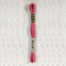 Load image into Gallery viewer, DMC Stranded Cotton - Art. 117 - Number 934 - 3747