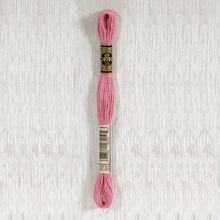 Load image into Gallery viewer, DMC Stranded Cotton - Art. 117 - Number 934 - 3747