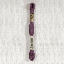 Load image into Gallery viewer, DMC Stranded Cotton - Art. 117 - Number 934 - 3747