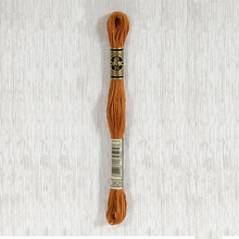 Load image into Gallery viewer, DMC Stranded Cotton - Art. 117 - Number 3750 - 3866