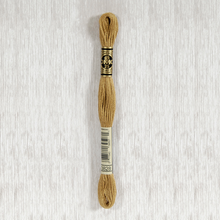 Load image into Gallery viewer, DMC Stranded Cotton - Art. 117 - Number 3750 - 3866