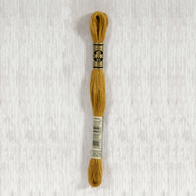 Load image into Gallery viewer, DMC Stranded Cotton - Art. 117 - Number 3750 - 3866