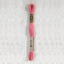 Load image into Gallery viewer, DMC Stranded Cotton - Art. 117 - Number 3750 - 3866