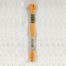 Load image into Gallery viewer, DMC Stranded Cotton - Art. 117 - Number 3750 - 3866