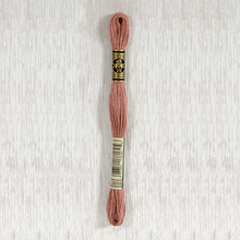Load image into Gallery viewer, DMC Stranded Cotton - Art. 117 - Number 3750 - 3866