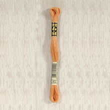 Load image into Gallery viewer, DMC Stranded Cotton - Art. 117 - Number 367 - 733